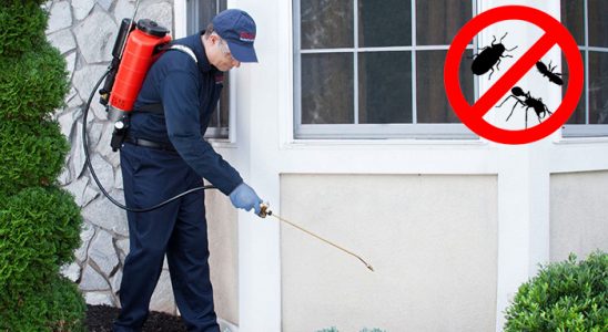 Erdek Kemirgen İlaçlama böcek ilaçlama ve haşere kontrolü — ilaclama-tr.com